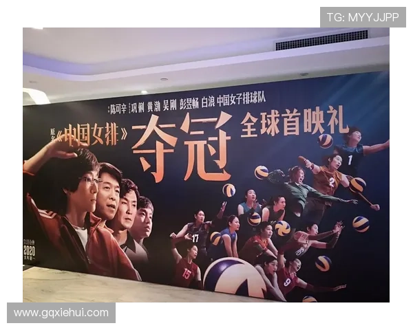 杭州排球队的奋斗历程与冠军赛背后的故事揭秘