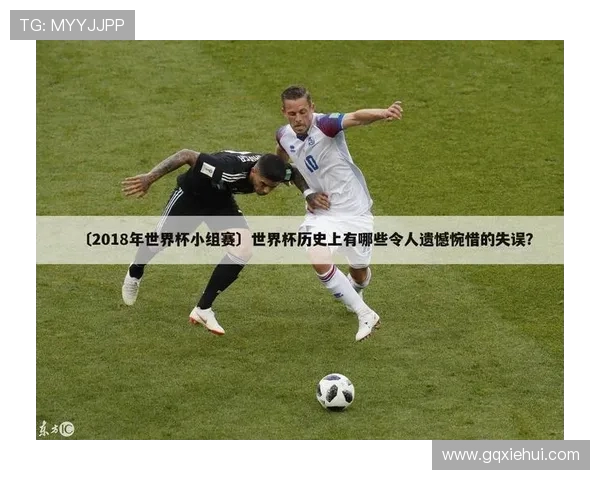 武汉羽毛球队在世界杯中的战术分析与表现评估